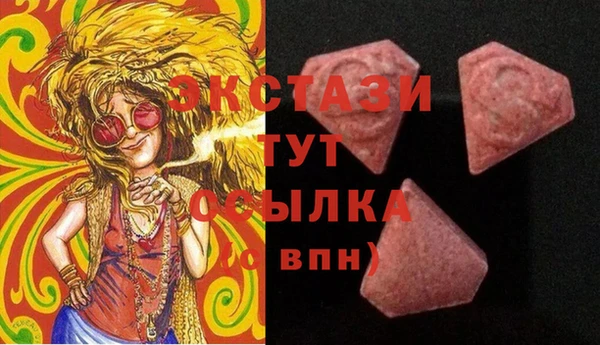 индика Арсеньев
