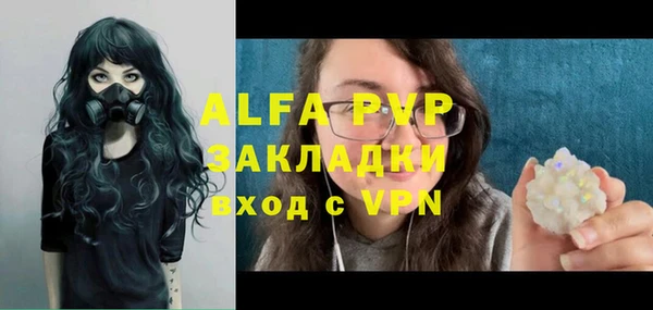 индика Арсеньев