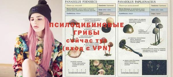 ALPHA PVP Алексеевка