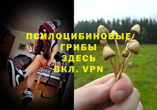 ALPHA PVP Армянск