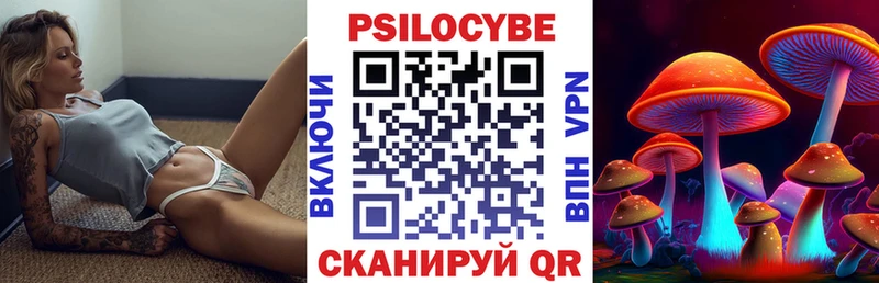 Псилоцибиновые грибы Cubensis  Куйбышев 